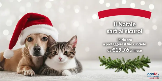 ConTe Cane e Gatto promo Natale