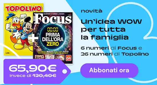 topo+focus banner 550x300