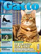 COVER Gatto Magazine