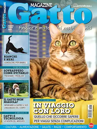 COVER Gatto Magazine