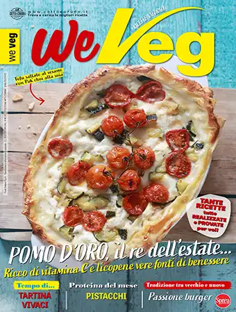 COVER We Veg